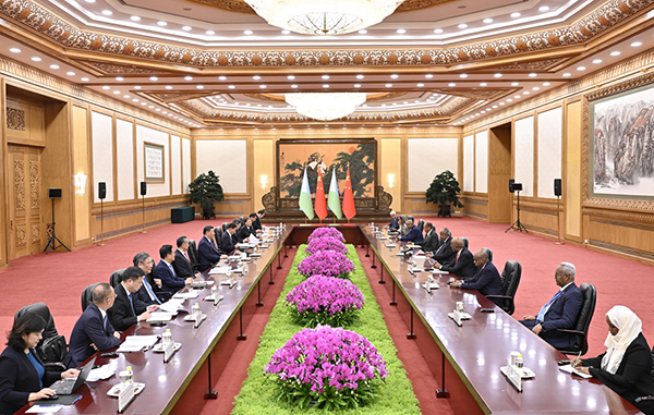 习近平会见吉布提总统盖莱2600.jpg